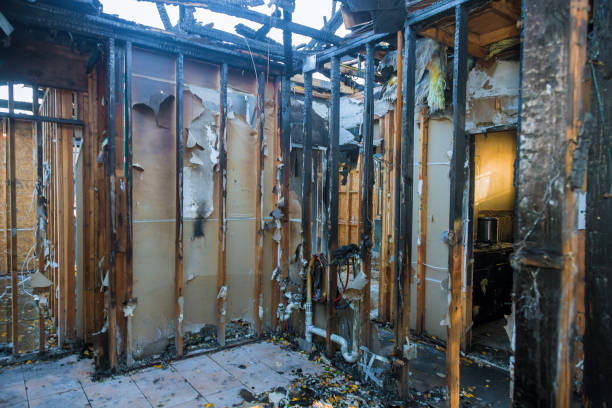 Professional Emergency Fire Cleanup technician working in Leesburg, OH